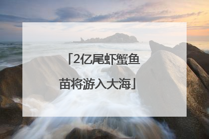 2亿尾虾蟹鱼苗将游入大海